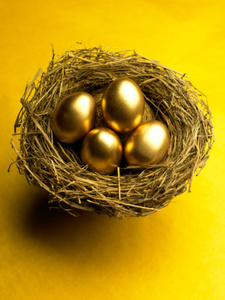 gold egg nest-resize-380x300